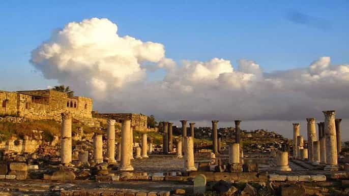 amman private tour to jerash ajloun and umm qais