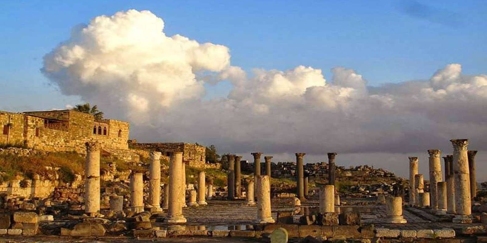 jerash tour from amman