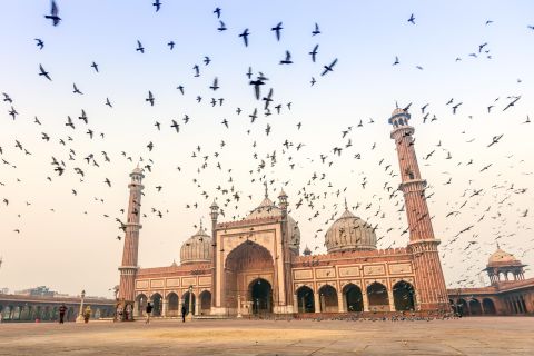 Tour a piedi di 3 ore del patrimonio storico di Delhi con giro in risciò