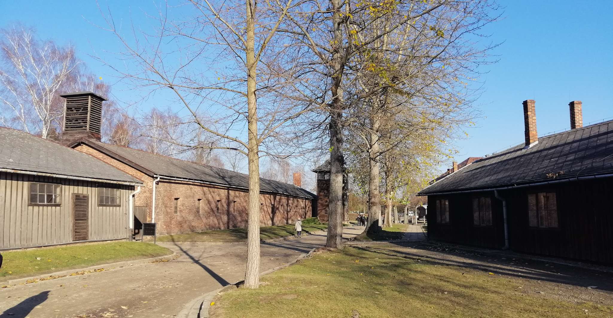 De Varsovie, Auschwitz-Birkenau Tour en voiture - Hizvo