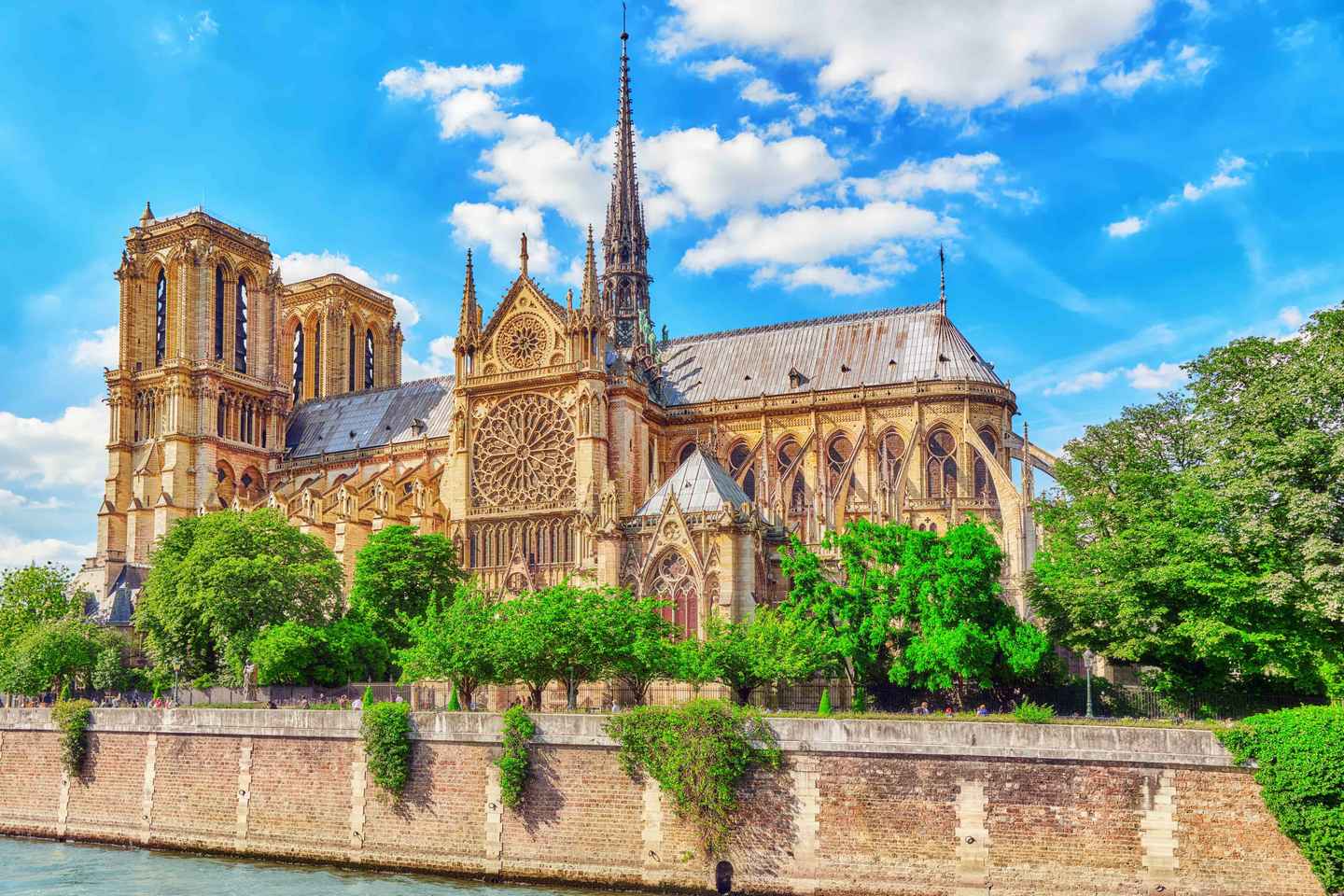 Paris: Notre-Dame Cathedral Exterior Tour - Paris: Notre-Dame Cathedral 1-Hour Guided Tour