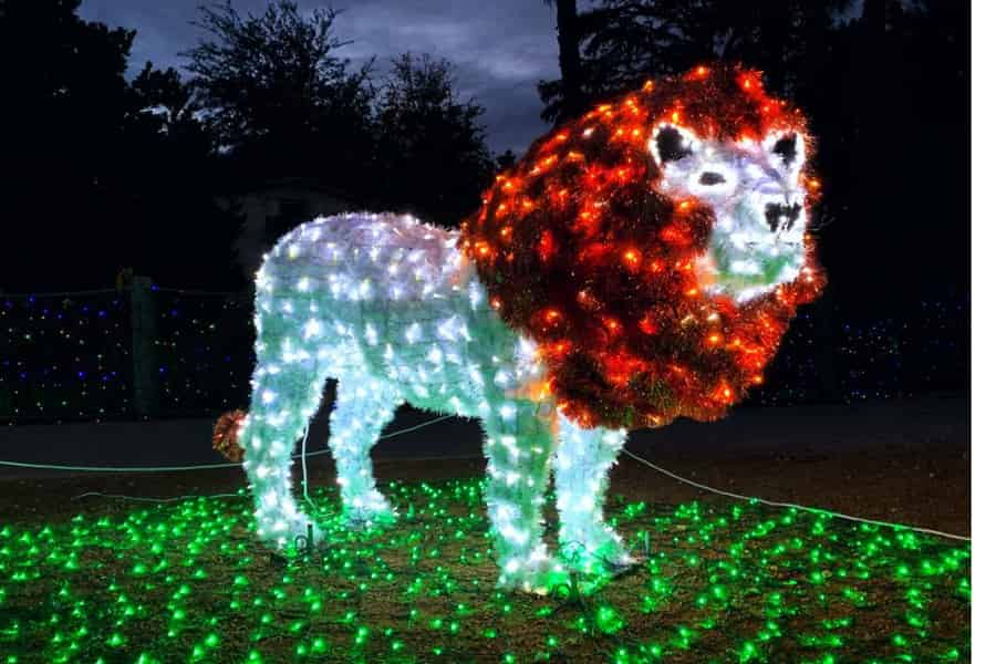 San Antonio Zoo: Tageskarte inklusive ZooLights. Foto: GetYourGuide