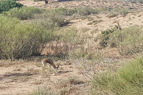 Agadir: Halbtagestour durch den Nationalpark Souss Massa