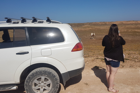 Agadir: excursão de meio dia à vida selvagem no Parque Nacional de SoussPartida de Agadir Excursão de meio dia à vida selvagem do Parque Nacional de Souss