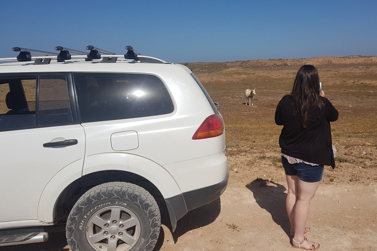 Agadir: Halvdagstur i Souss nationalpark med djurlivAgadir Avresa Souss National Park Wildlife halvdagsutflykt