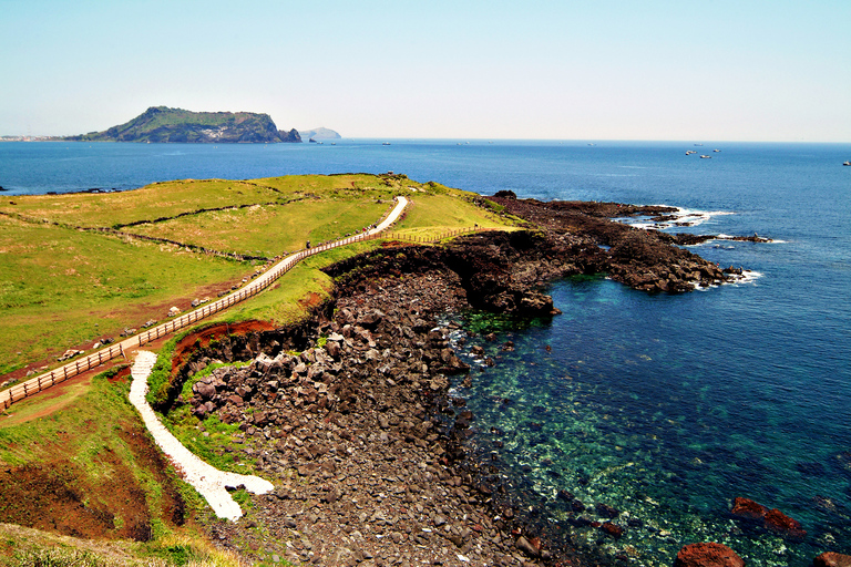 Wyspa Jeju: Dostosowana prywatna wycieczka całodziennaOdbiór w obrębie centrum miasta Jeju