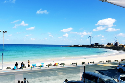 Jeju-eiland: privé-privétour op volledige dag van de dagOphalen in het gebied Jeju Downtown