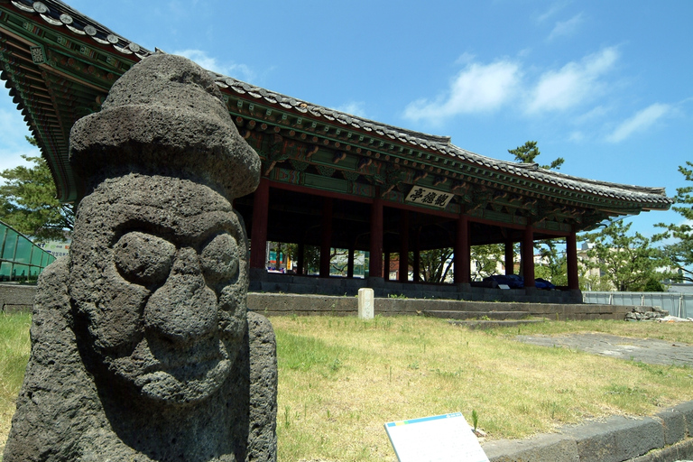 Ilha de Jeju: Passeio privativo personalizado de dia inteiro em vanCaptura dentro da área do centro de Jeju