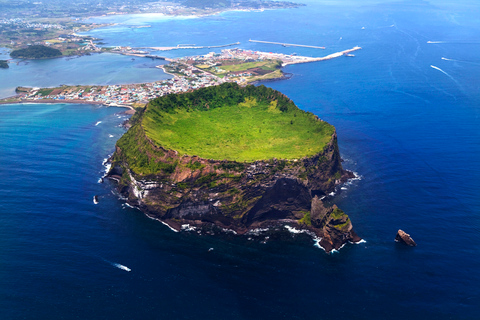 Isola di Jeju: Tour privato personalizzato di un giorno intero in furgoneRitiro all&#039;interno dell&#039;area di Jeju Downtown