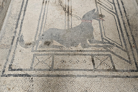 Pompeii: Private Guided Tour with Herculaneum – 3 Options Pompeii Herculaneum & Naples