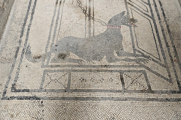 Pompeii: Private Guided Tour with Herculaneum – 3 Options Pompeii Herculaneum & Naples