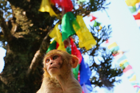 Kathmandu: Visita guiada privada à cidade