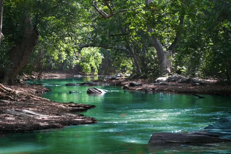 Maurice randonnée au Parc des de la Rivière Noir GetYourGuide