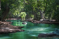 Mauritius, Black River Gorges National Park 3-uur wandeling - Housity