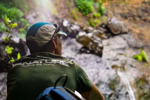 Mauritius: 3 uur wandeltocht met hoogtepunten Tamarind FallsPrivéwandeling met ontmoetingspunt