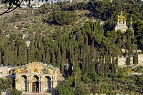 From Tel-Aviv: Day Tour to Origins of Christ in Jerusalem
