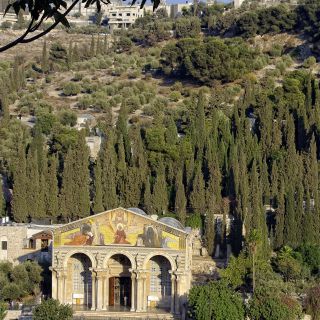 Da Tel-Aviv: tour di un giorno alle origini di Cristo a Gerusalemme