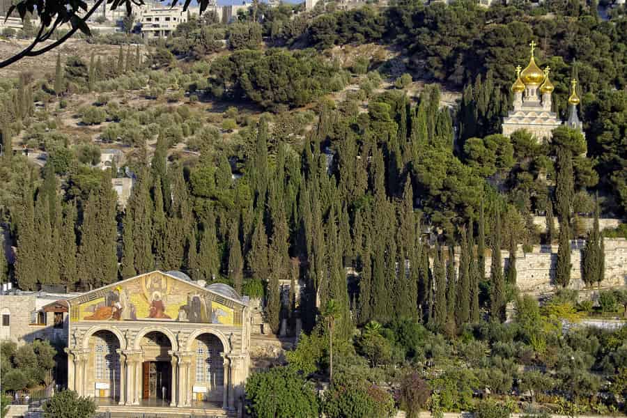 Von Tel-Aviv aus: Tagestour zu den Ursprüngen von Christus in Jerusalem. Foto: GetYourGuide