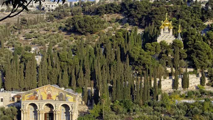 origins of christ in jerusalem day tour