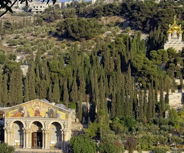 From Tel-Aviv: Day Tour to Origins of Christ in Jerusalem