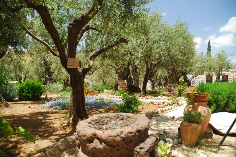 De Tel-Aviv: excursion d'une journée aux origines du Christ à Jérusalem