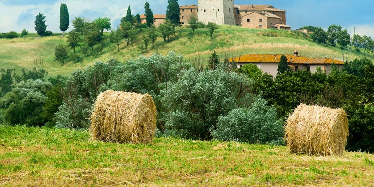 From Florence: Private Wine Tour with Dinner on an Estate