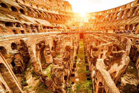 Rome: Skip-the-Line Colosseum & privérondritEngelse tour