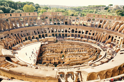 Rome: Skip-the-Line Colosseum & privérondritEngelse tour