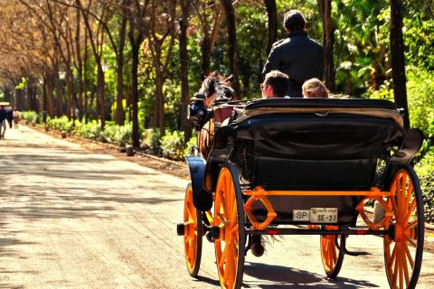 Siviglia: passeggiata in carrozza trainata da cavalli
