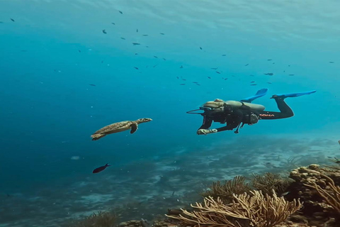 Experiência de mergulho em Side ou AlanyaDe Alanya