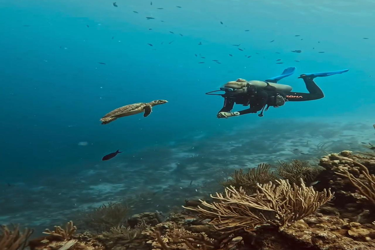 Expérience de plongée sous-marine sur le côté ou à AlanyaDe côté