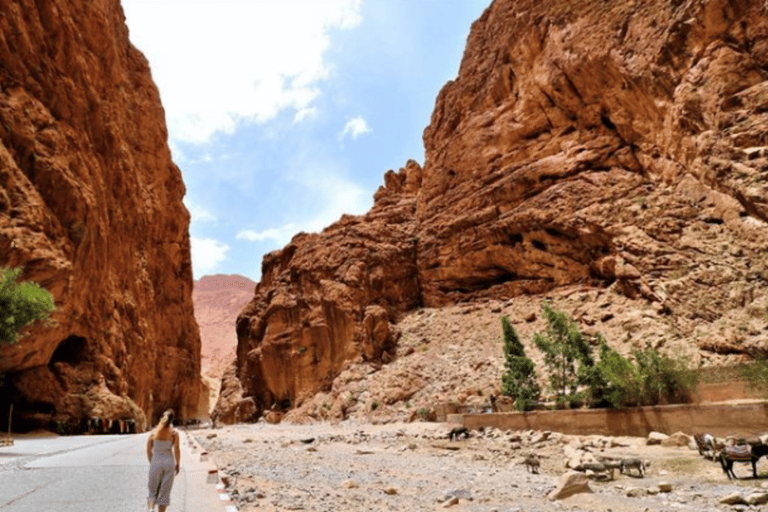 2 Days Trip From Marrakech To Ouarzazate & Dades Valley 2 Days Shared Tour : Marrakech To Ouarzazate & Dades Valley