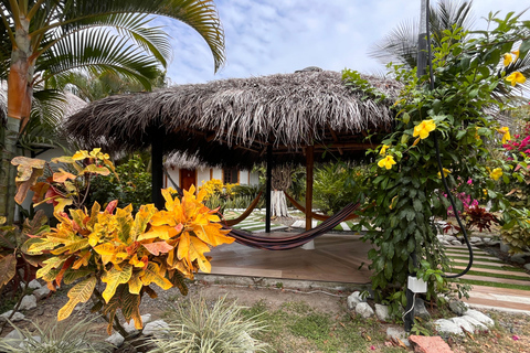 4-Day Tour: Quito, Mindo, Pacific Coast & Tsáchila, All incl
