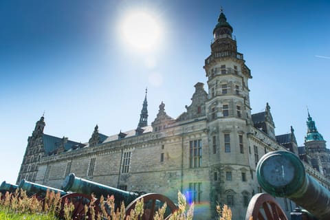 From Copenhagen: Kings, Castles and Countryside Tour
