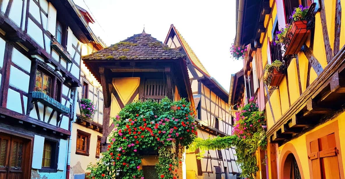 The 4 Wonders of Alsace Day Tour from Colmar