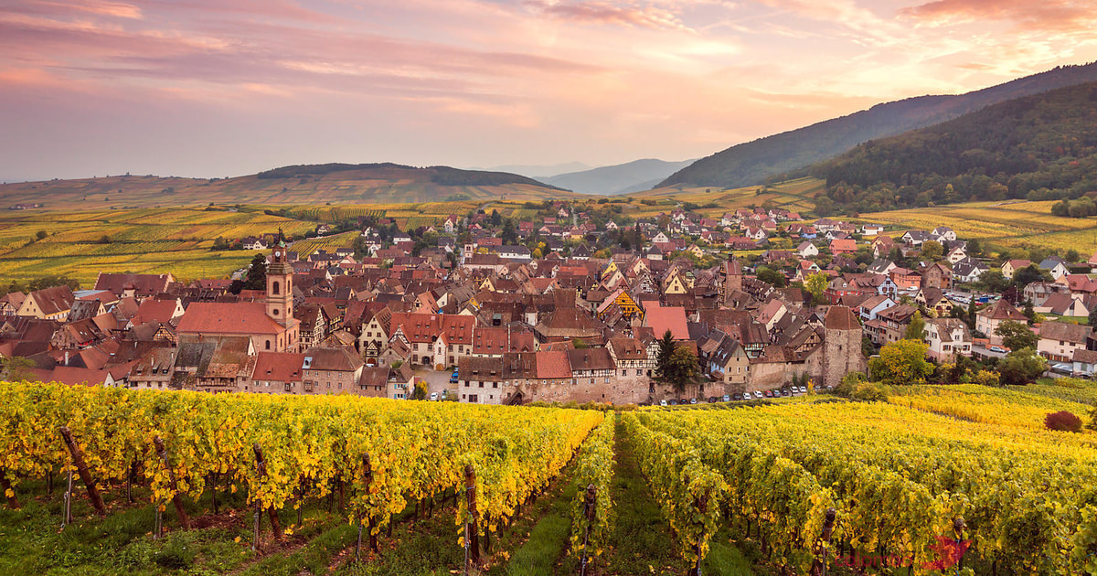 De 4 Vidundere I Alsace Dagstur Fra Colmar | GetYourGuide