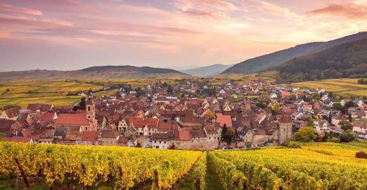 Excursión de un día a las 4 Maravillas de Alsacia desde Colmar