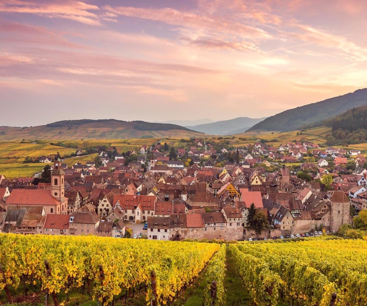 Depuis Colmar : visite des 4 merveilles d'Alsace