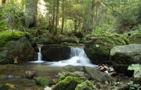 Sofia, Lovech, Devetaki Cave and Krushuna Waterfalls Tour - Housity