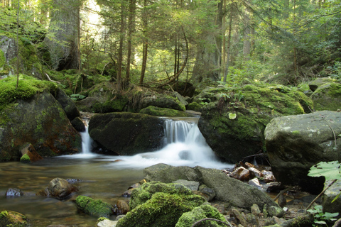 Sofia: Lovech, Devetaki Cave i Krushuna Waterfalls Tour