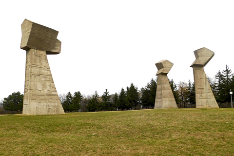 Desde Belgrado: tour privado de un día a Niš y Devil's Town