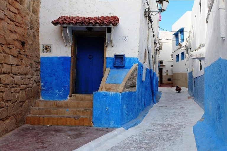 Tour de 2 días desde Fez: Volubilis, Meknes y Chefchaouen