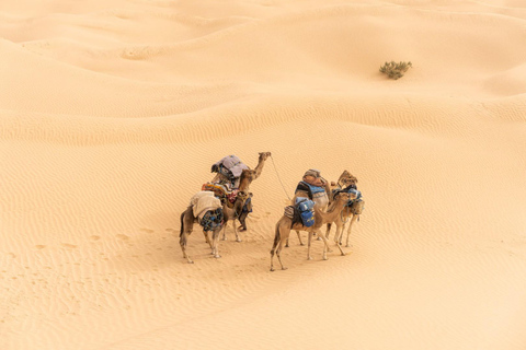 Zwei Tage und eine Nacht in einem Camp, Ksar Ghilane von Djerba aus