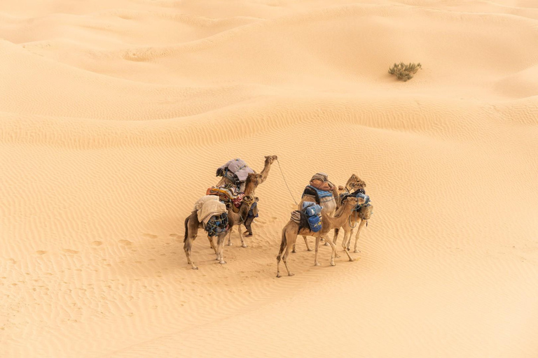 Två dagar och en natt i ett läger, Ksar Ghilane från Djerba