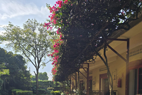 Kampala: Guided City Walking Tour with Gaddafi Mosque Inside Kampala's City Walking Tour