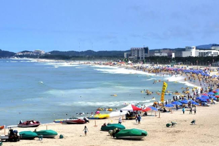 From Seoul: Mt Seoraksan, Naksansa Temple, Sokcho Beach Tour Private Tour – Per Person