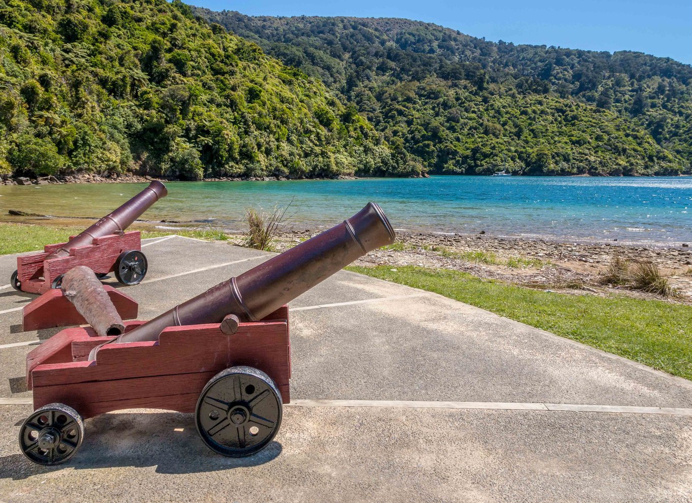 Krydstogt i Marlborough Sounds og Ship Cove fra Picton