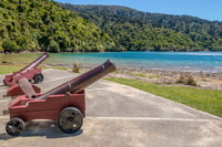 Marlborough Sounds y Ship Cove Cruise desde Picton - Housity
