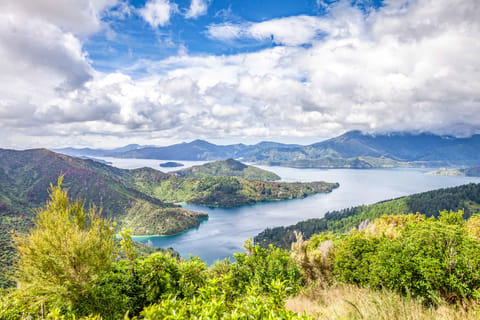 Marlborough Sounds and Ship Cove Cruise from Picton