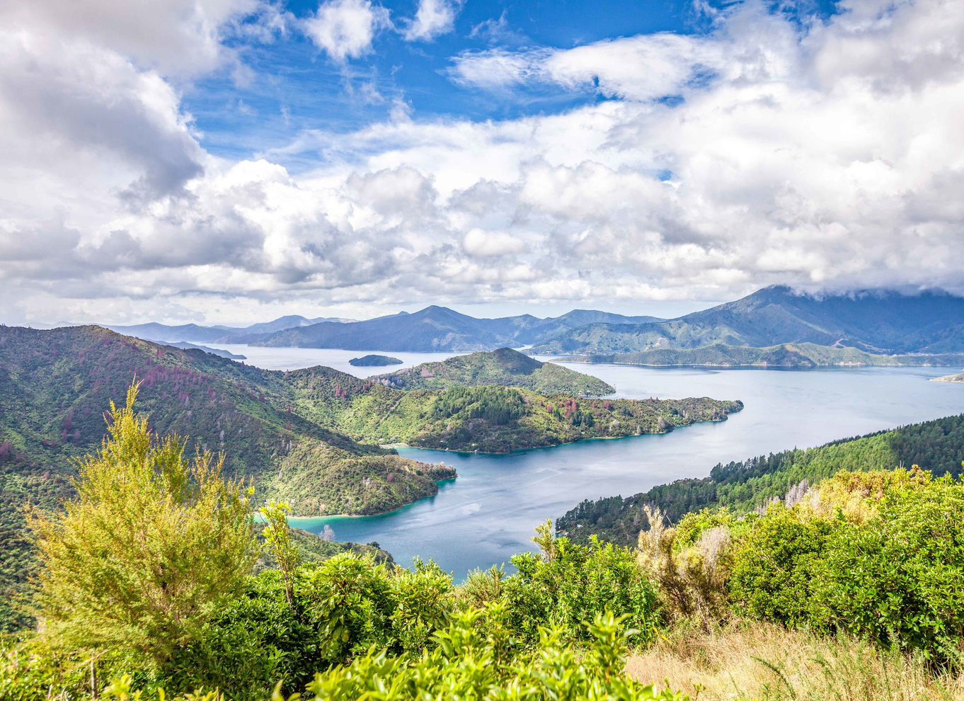 Krydstogt i Marlborough Sounds og Ship Cove fra Picton